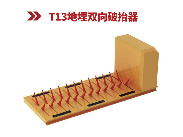 T13����˫����̧��