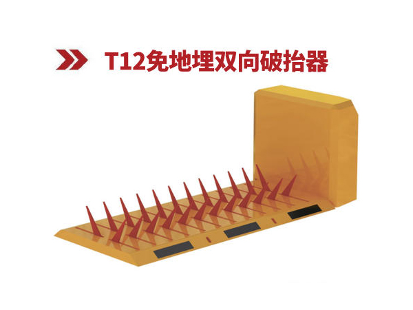 T12�����˫����̧��